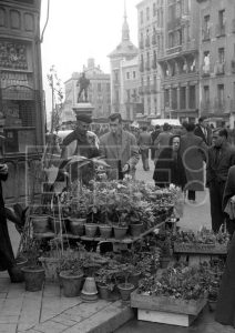 fotos antiguas del rastro de madrid (9)