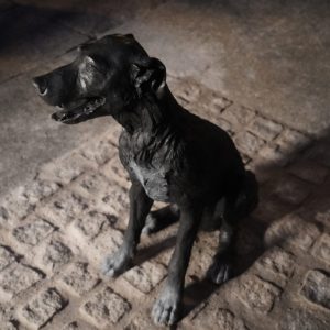 Inauguración estatua perro Paco– 16 de Enero de 2023