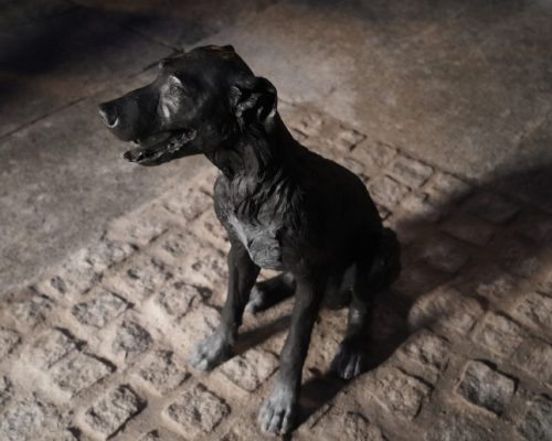 Inauguración estatua perro Paco– 16 de Enero de 2023