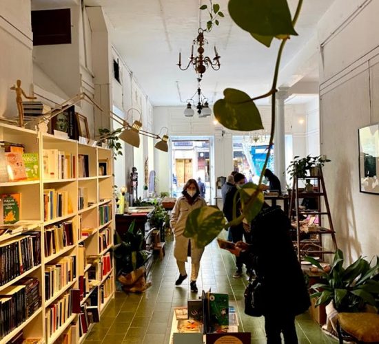 Libreria los pequeños seres (5)