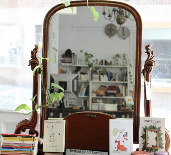 Los Pequeños Seres Librería (1)