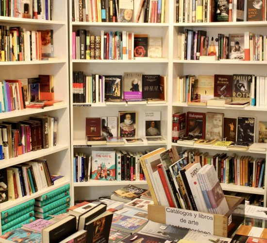 Los Pequeños Seres Librería (11)