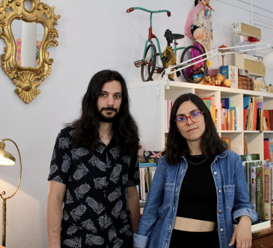 Los Pequeños Seres Librería (12)