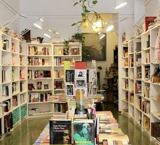 Los Pequeños Seres Librería (2)