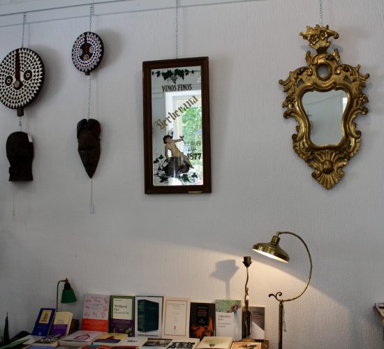 Los Pequeños Seres Librería (4)