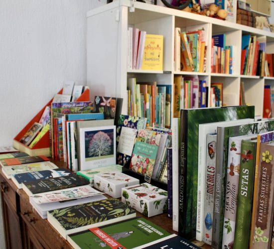 Los Pequeños Seres Librería (5)