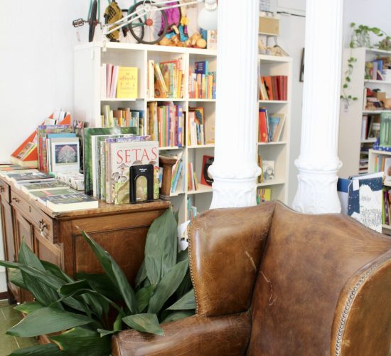 Los Pequeños Seres Librería (6)