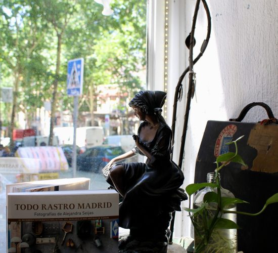 Los Pequeños Seres Librería (8)