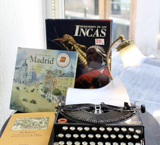 Los Pequeños Seres Librería (9)