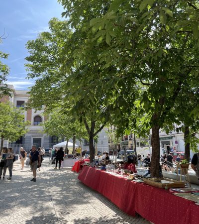 Los Sábados del Rastro – 03 de Junio de 2023 (7)