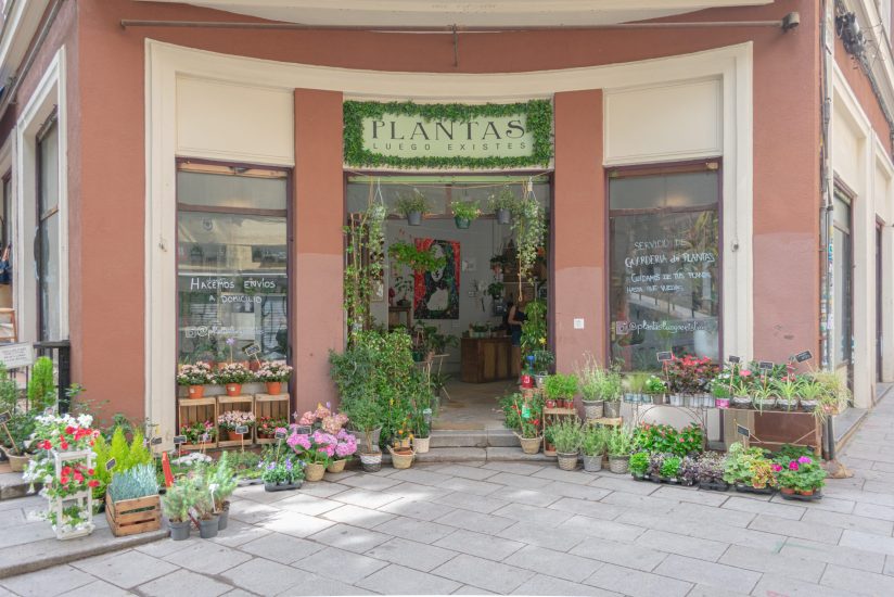 Plantas_Luego_Existes_Fachada
