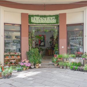 Plantas_Luego_Existes_Fachada